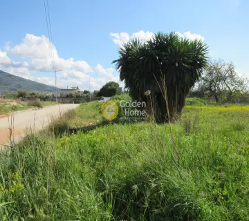 Professional Plot 2936m<sup>2</sup> for sale photo 1