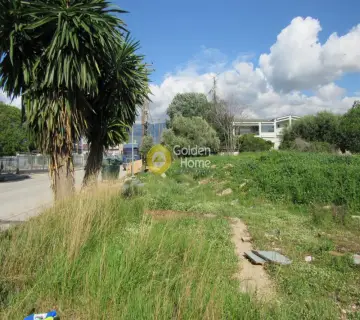 Professional Plot 2936m<sup>2</sup> for sale photo 2