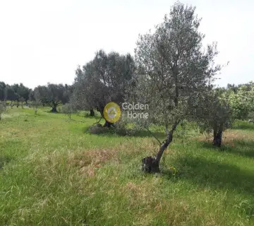 Parcel 4000m<sup>2</sup> for sale photo 3112719