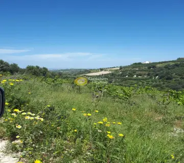 Residential 5860m<sup>2</sup> for sale photo 18