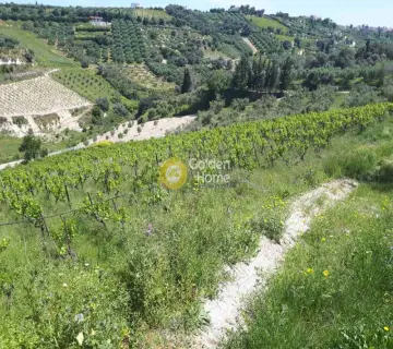 Residential 5860m<sup>2</sup> for sale photo 28