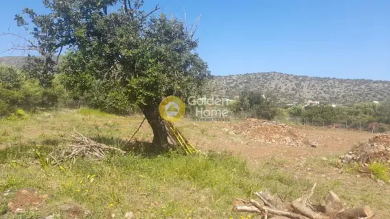 Residential 2000m<sup>2</sup> for sale photo 3