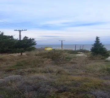 Residential 4202m<sup>2</sup> for sale photo 2