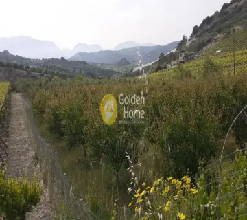 Golden Home Property Image