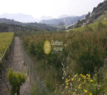 Golden Home Property Image