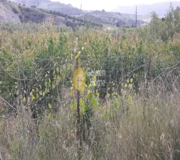 Αγροτεμάχιο 2100τ.μ. προς πώληση φωτογραφία 6