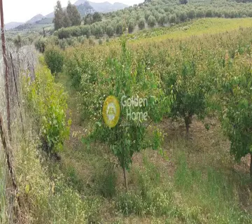 Αγροτεμάχιο 2100τ.μ. προς πώληση φωτογραφία 7