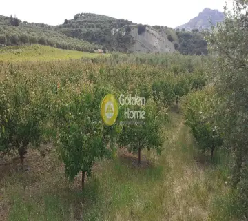 Αγροτεμάχιο 2100τ.μ. προς πώληση φωτογραφία 8