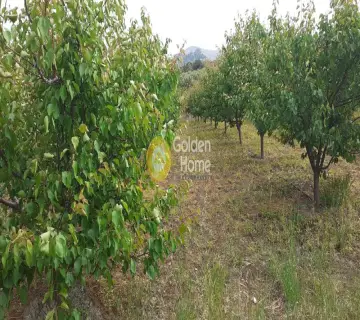 Αγροτεμάχιο 2100τ.μ. προς πώληση φωτογραφία 9
