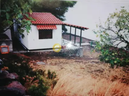 Area 442m<sup>2</sup> for sale photo 1