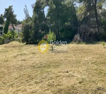 Οικιστικό 2057τ.μ. προς πώληση φωτογραφία 3129490