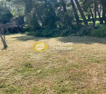 Οικιστικό 2057τ.μ. προς πώληση φωτογραφία 3129494