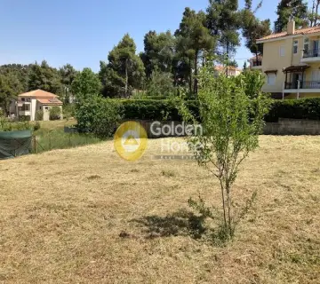 Οικιστικό 2057τ.μ. προς πώληση φωτογραφία 3129496