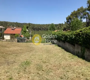 Οικιστικό 2057τ.μ. προς πώληση φωτογραφία 3129503