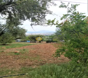 Residential 500m<sup>2</sup> for sale photo 4