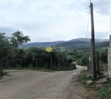 Residential 500m<sup>2</sup> for sale photo 5