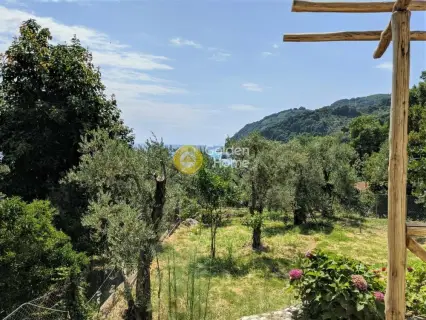 House 322m<sup>2</sup> for sale photo 27