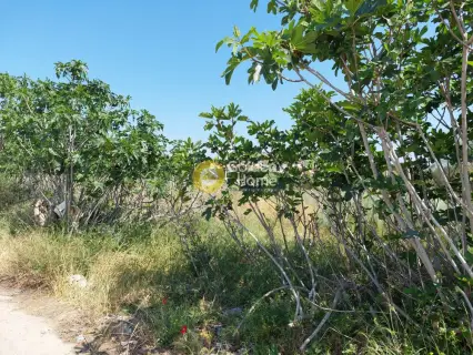 Residential 6800m<sup>2</sup> for sale photo 5