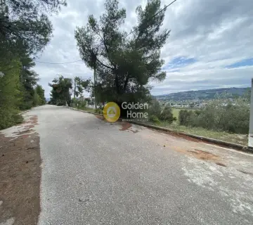 Οικιστικό 1041τ.μ. προς πώληση φωτογραφία 3127826