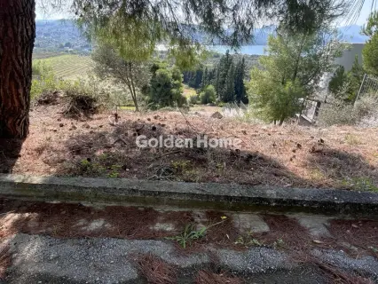 Οικιστικό 1041τ.μ. προς πώληση φωτογραφία 2
