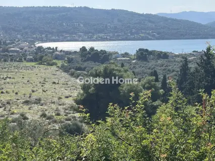 Οικιστικό 1041τ.μ. προς πώληση φωτογραφία 4