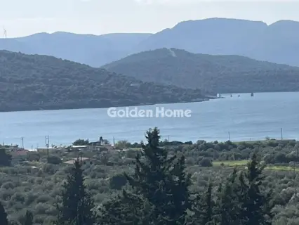 Οικιστικό 1041τ.μ. προς πώληση φωτογραφία 3