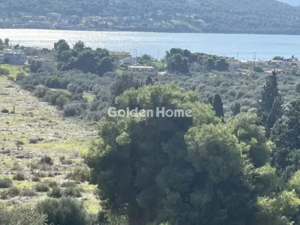 Οικιστικό 1041τ.μ. προς πώληση φωτογραφία 5
