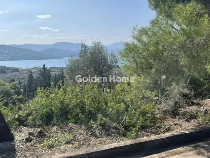 Οικιστικό 1041τ.μ. προς πώληση φωτογραφία 6