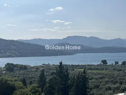 Οικιστικό 1041τ.μ. προς πώληση φωτογραφία 7