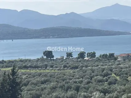 Οικιστικό 1041τ.μ. προς πώληση φωτογραφία 8