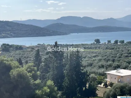 Οικιστικό 1041τ.μ. προς πώληση φωτογραφία 10