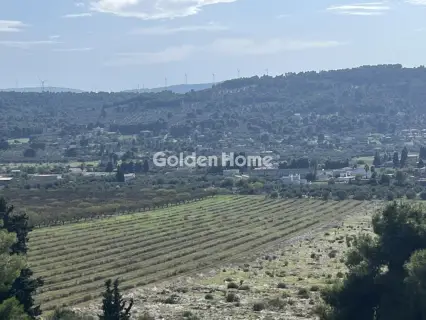 Οικιστικό 1041τ.μ. προς πώληση φωτογραφία 11