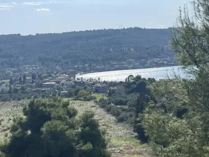 Οικιστικό 1041τ.μ. προς πώληση φωτογραφία 14