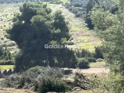 Οικιστικό 1041τ.μ. προς πώληση φωτογραφία 15