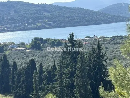 Οικιστικό 1041τ.μ. προς πώληση φωτογραφία 5703137