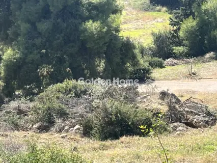 Οικιστικό 1041τ.μ. προς πώληση φωτογραφία 5703141