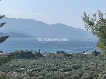 Οικιστικό 1041τ.μ. προς πώληση φωτογραφία 5703143
