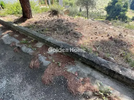 Οικιστικό 1041τ.μ. προς πώληση φωτογραφία 5703146