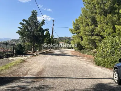 Οικιστικό 1041τ.μ. προς πώληση φωτογραφία 5703147