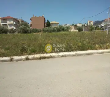 Golden Home Property Image