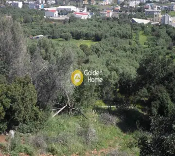 Residential 1142m<sup>2</sup> for sale photo 4793227