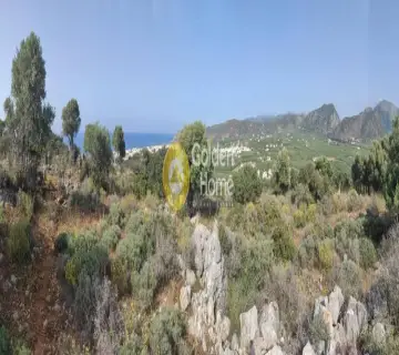 Golden Home Property Image