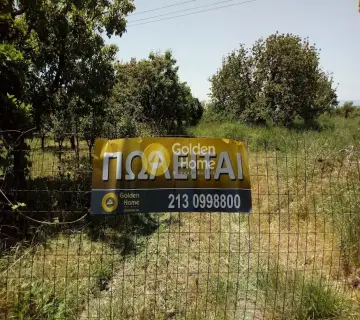 Residential 1617m<sup>2</sup> for sale photo 1