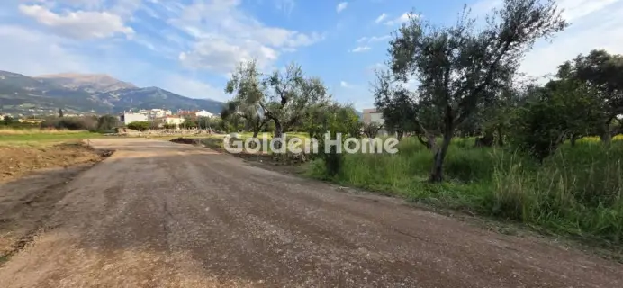 住宅 900m<sup>2</sup> for sale photo 1