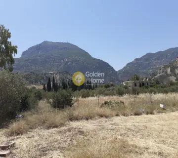 Golden Home Property Image