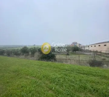 Industrial 2500m<sup>2</sup> for sale photo 3