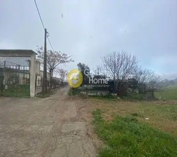 Industrial 2500m<sup>2</sup> for sale photo 4