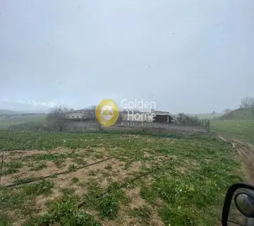 Industrial 2500m<sup>2</sup> for sale photo 9