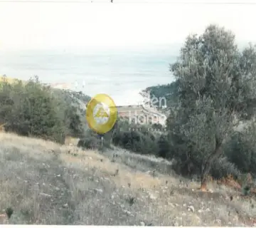 Parcel 12000m<sup>2</sup> for sale photo 2