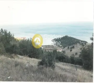 Parcel 12000m<sup>2</sup> for sale photo 5
